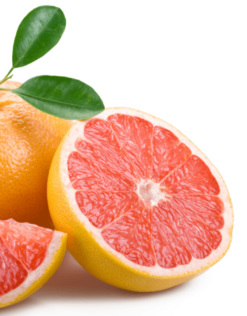 Florida moonshine company inspiration - grapefruit
